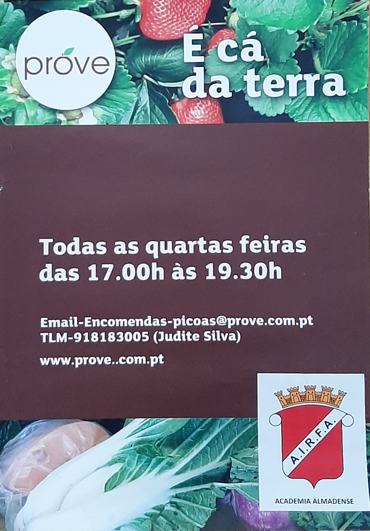 Academia Almadense